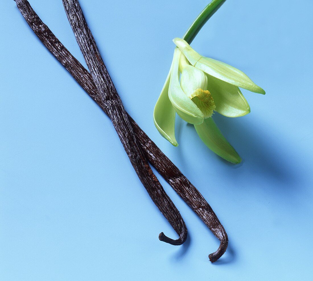 Two vanilla sticks and a real vanilla flower