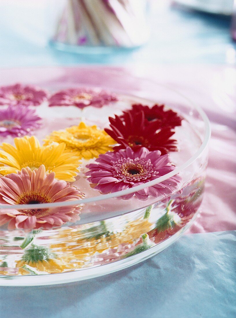 Eine Schale mit Blüten im Wasser schwimmend (Tischdeko)