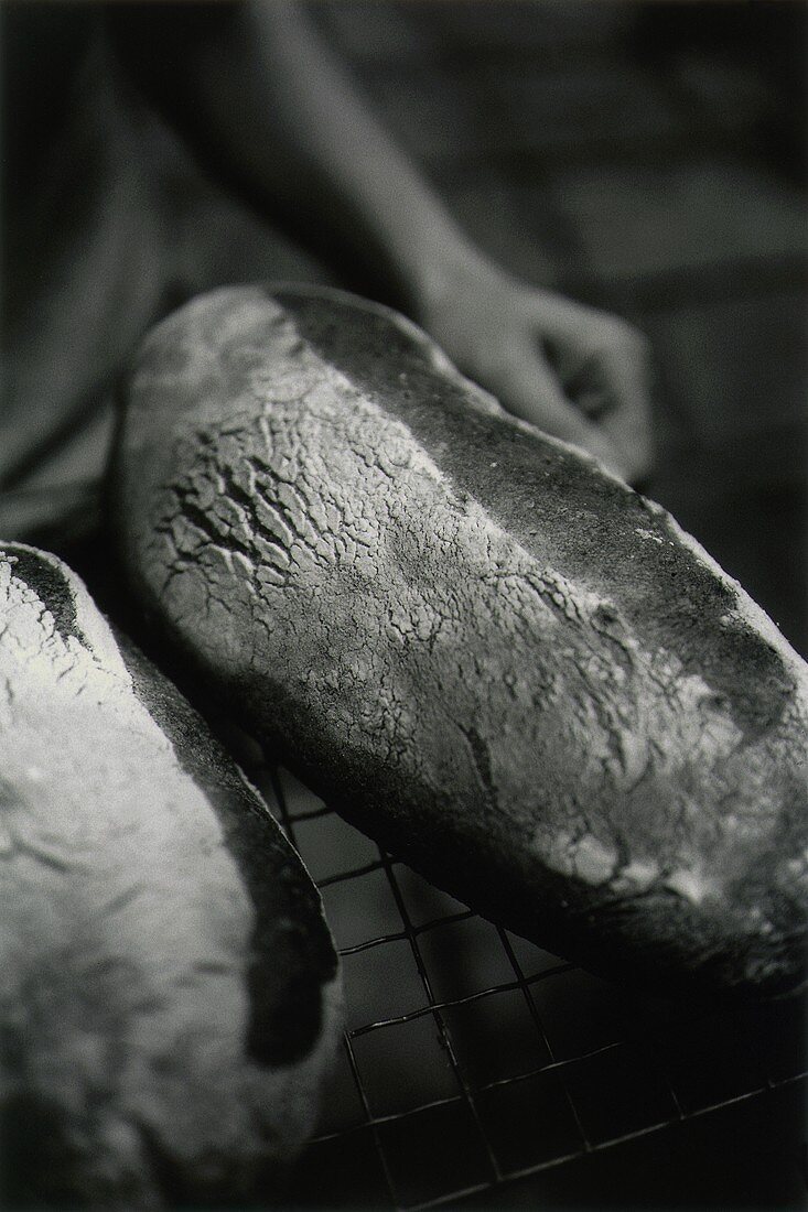 Freshly baked bread on baking rack (b and w photo)