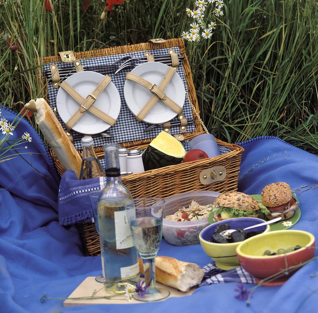 Picknick auf blauer Decke vor offenem Picknickkorb (aussen)