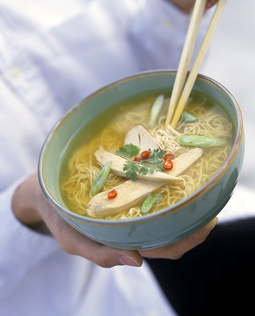 Noodle Soup with Chicken (Asian Style)