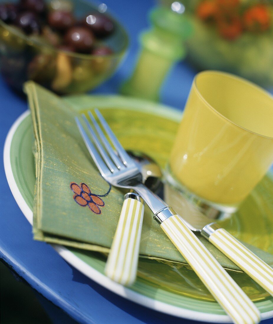 Single Place Setting in Green and Yellow