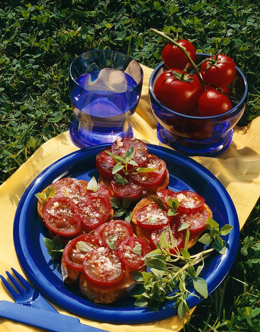 Marinated tomatoes on bread for a picnic