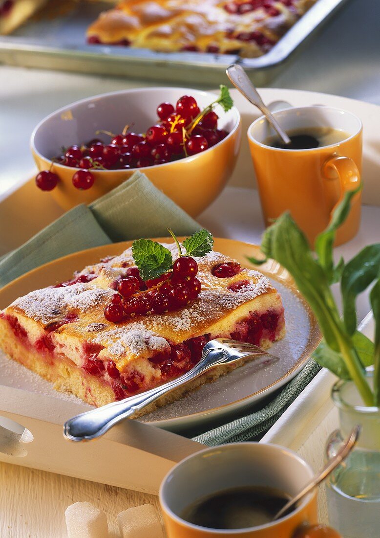 A piece of tray-baked redcurrant cake on a plate