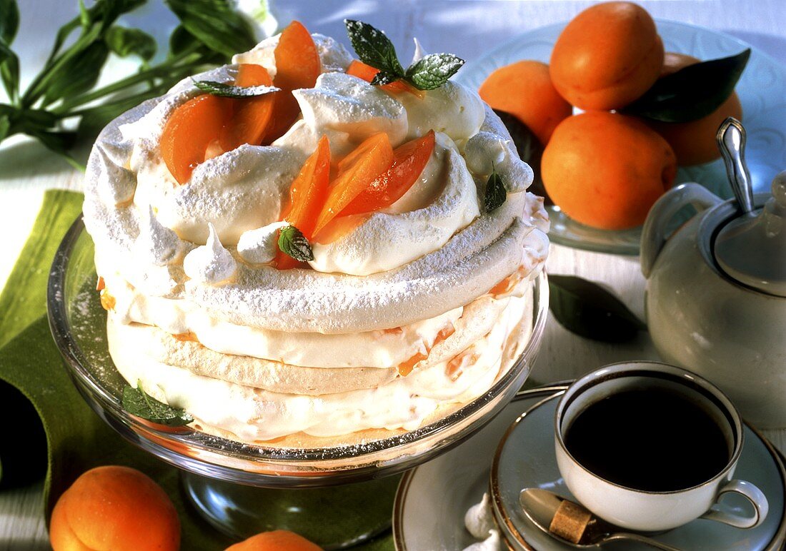 Meringue gateau with apricot mousse, with coffee