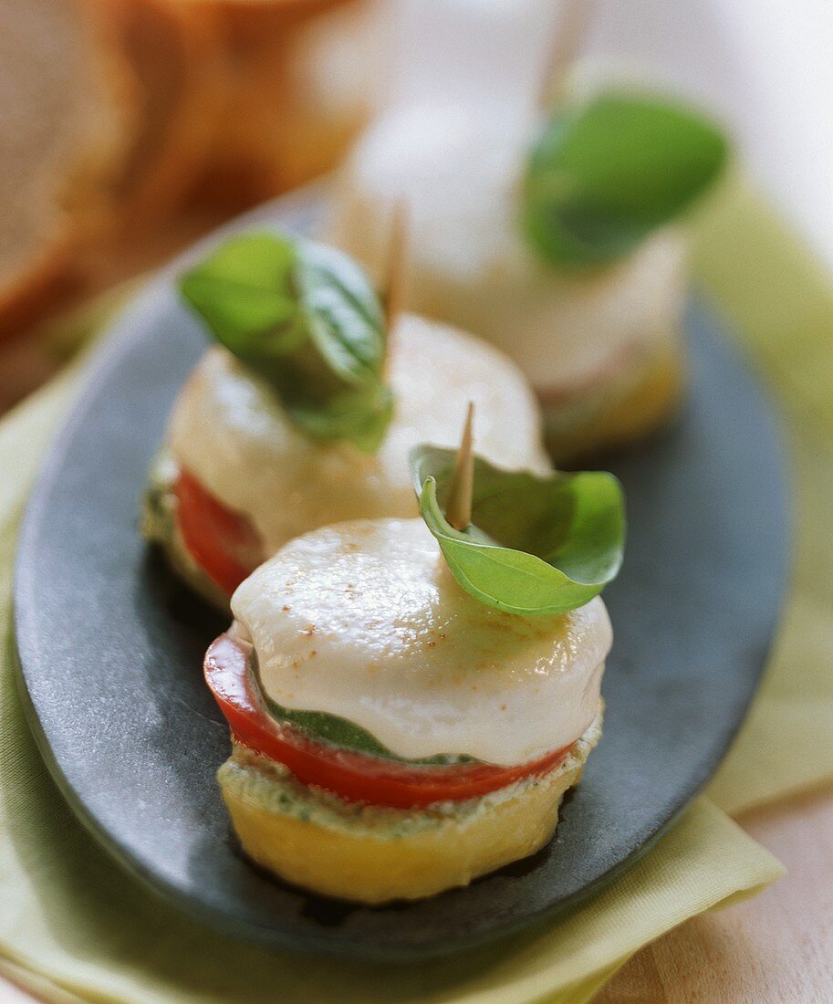 Toasted snacks with tomatoes, basil and mozzarella 