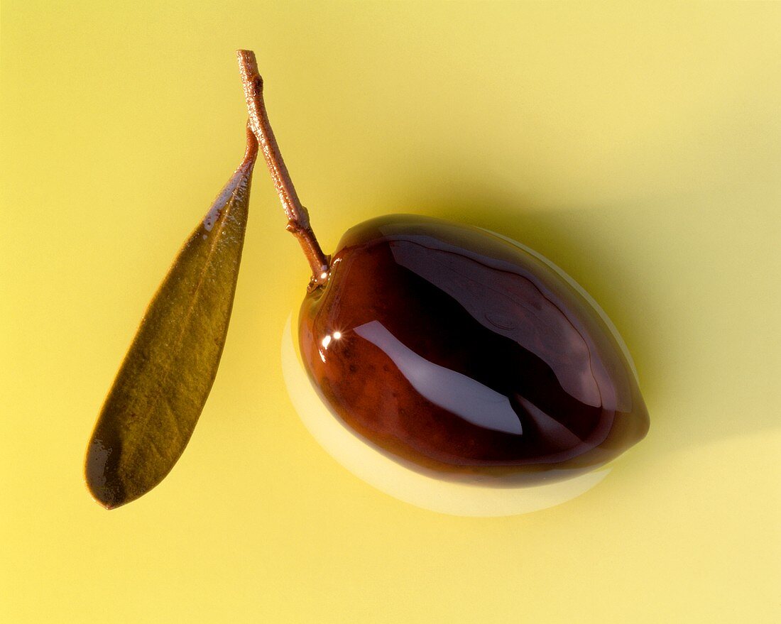 Eine braune Olive mit Zweig in Olivenöl