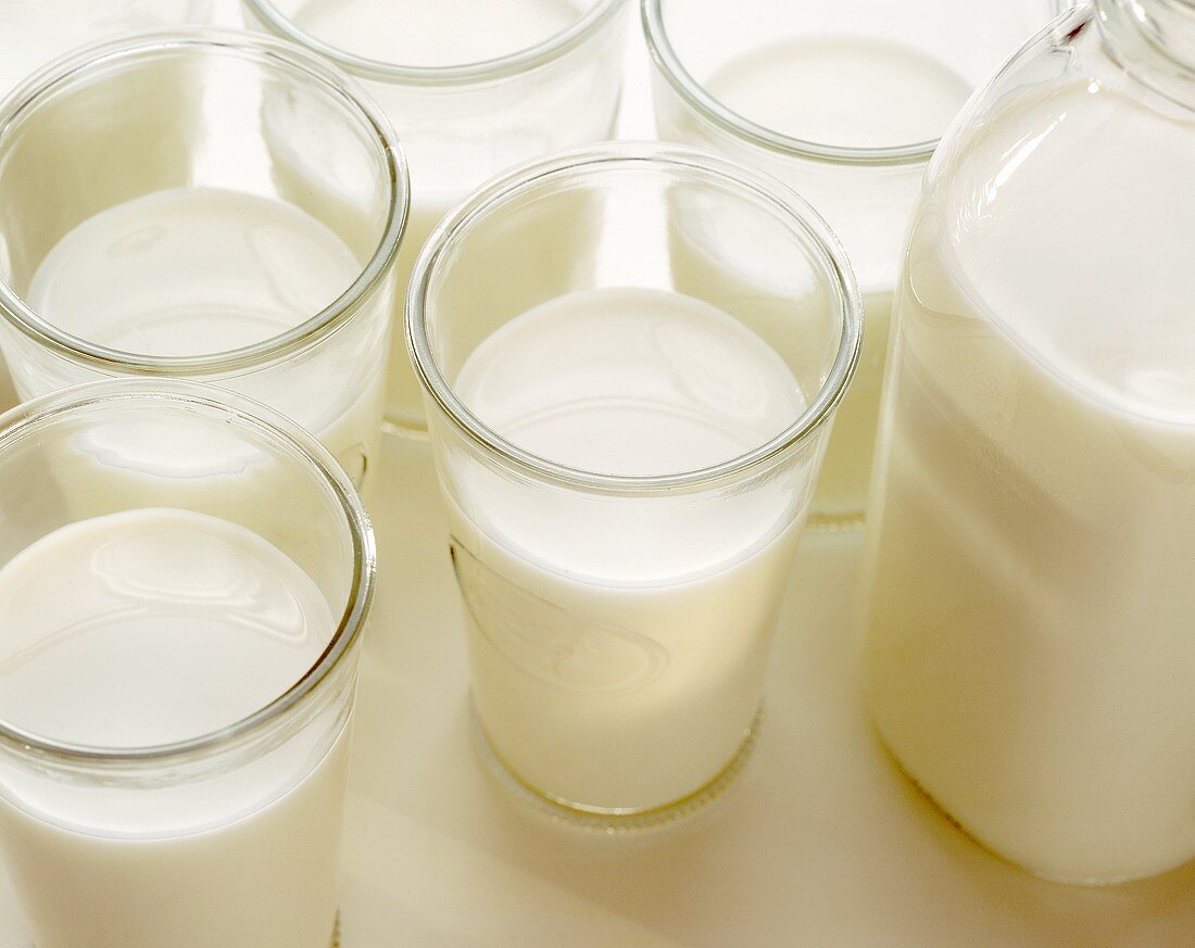 Several glasses of milk, bottle of milk beside them