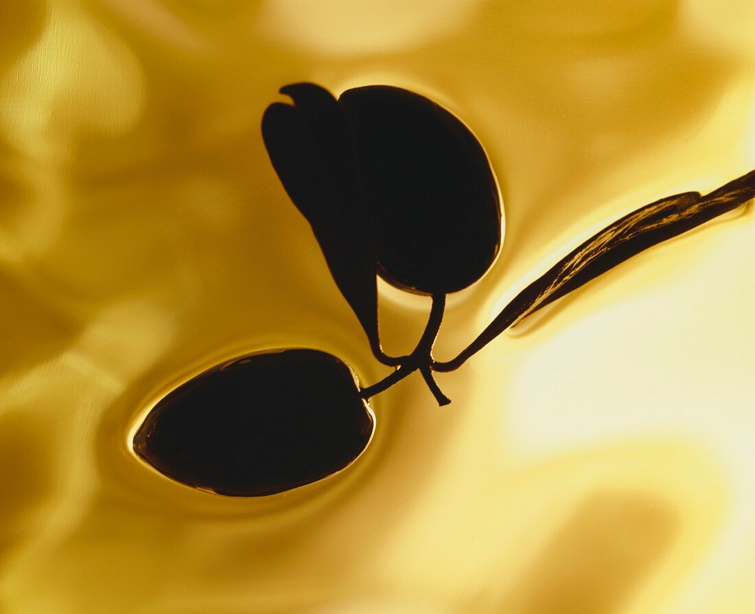 Zwei schwarze Oliven schwimmen in Olivenöl