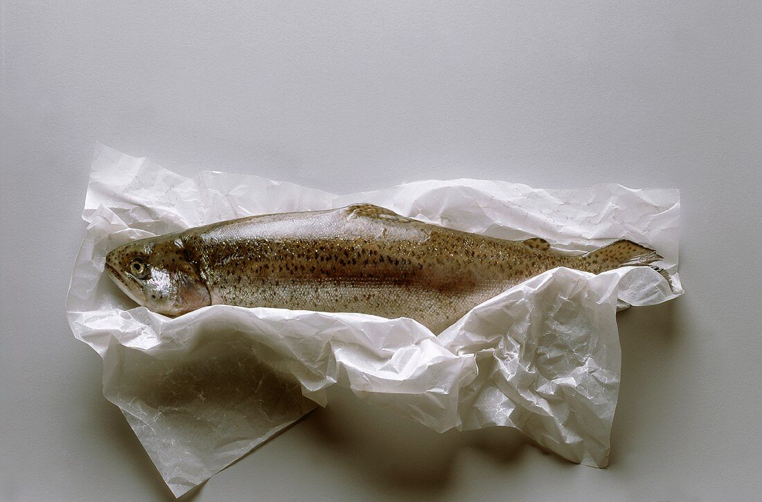 A trout wrapped in paper