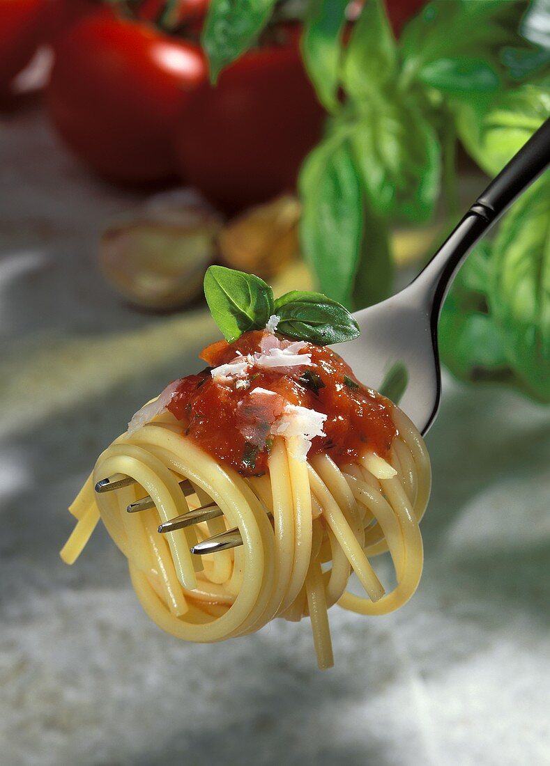Spaghetti with tomato sauce and parmesan on fork