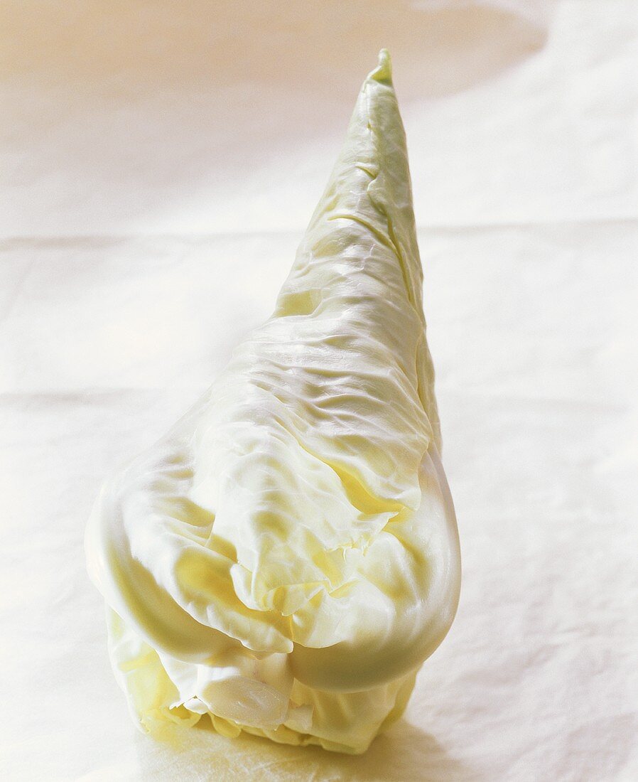 .Pointed White Cabbage