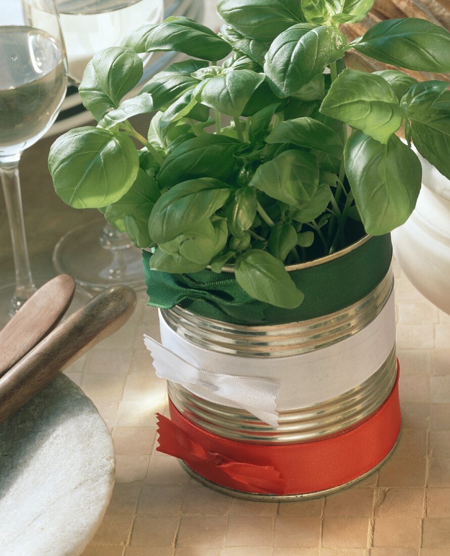 Food tin with bunch of basil & decorated with ribbons