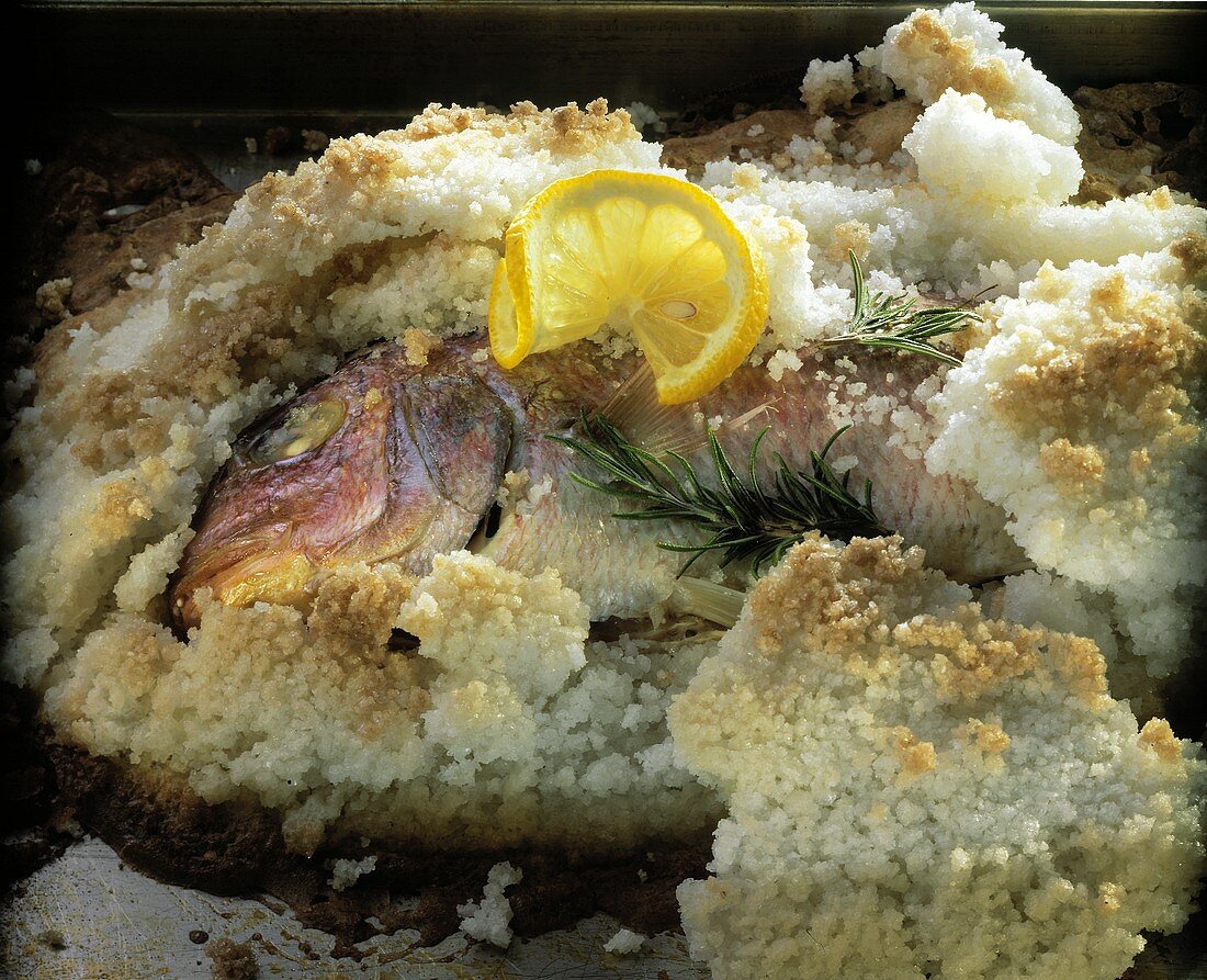 Sea bream in salt crust