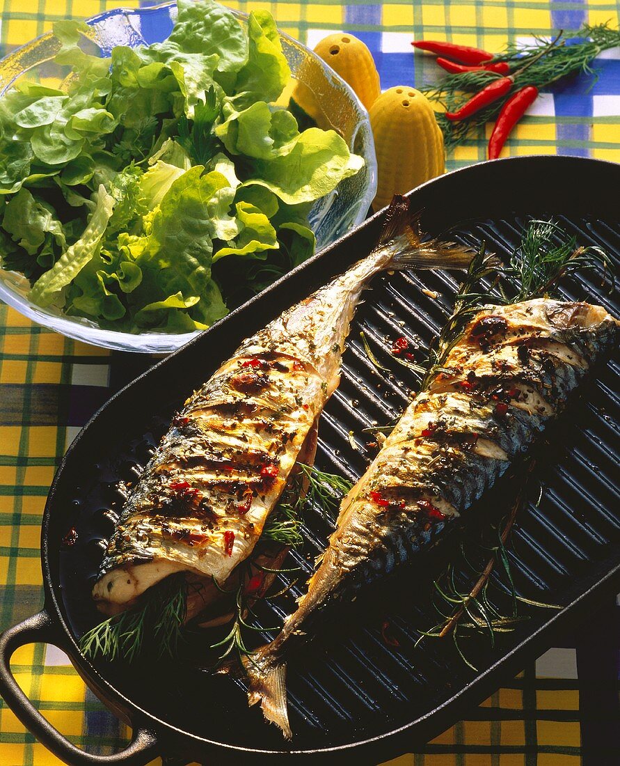 Barbecued mackerel with herbs