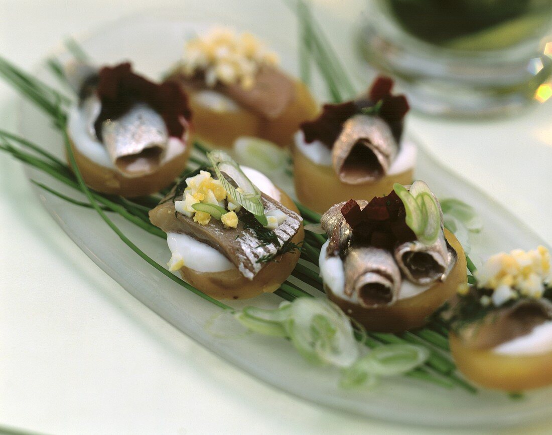 Kleine Häppchen mit Matjes und Hering auf Senfgurken