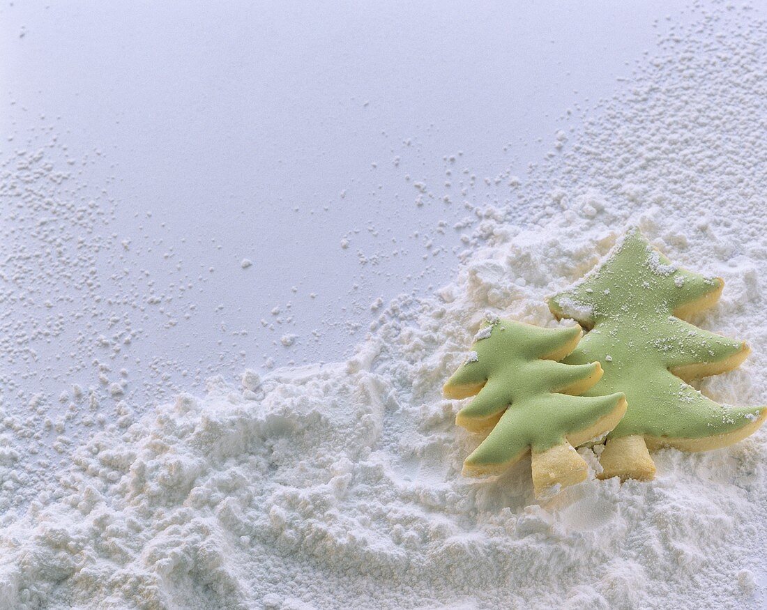 Fir tree biscuits in icing sugar snow