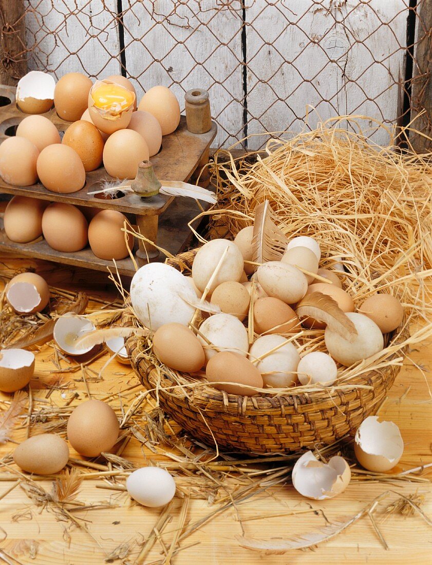 Frisch gelegte Eier im Korb und in Eierhaltern