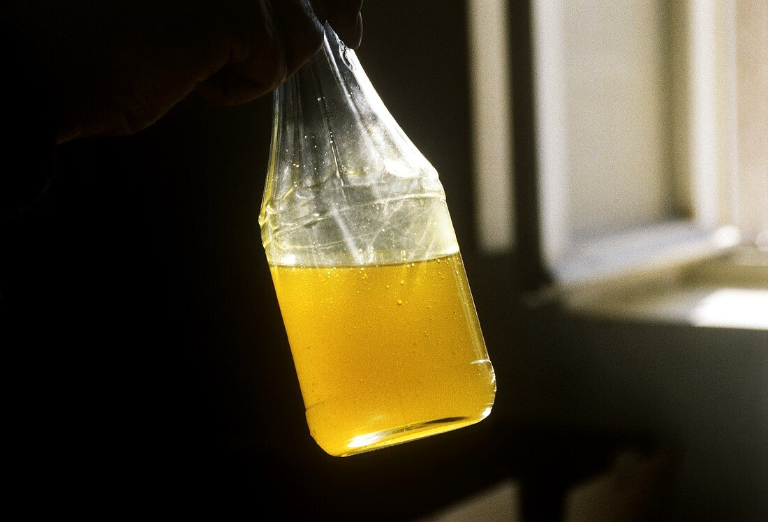 Hand hält Flasche mit frisch gewonnenem Olivenöl