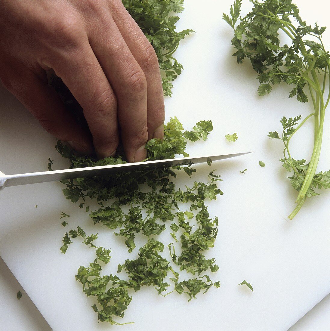 Finely chopping chervil