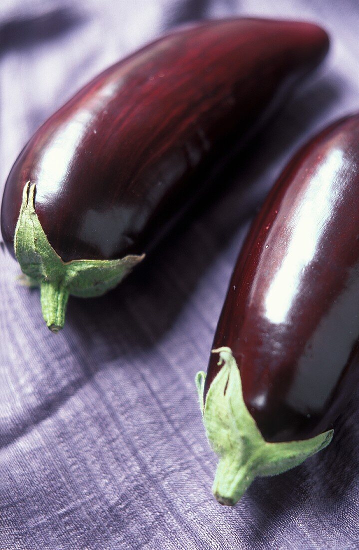 Two aubergines on purple background