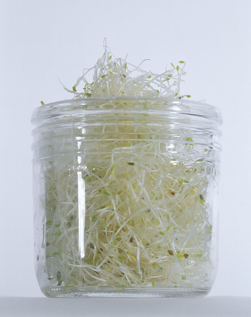 A glass container of fresh alfalfa sprouts