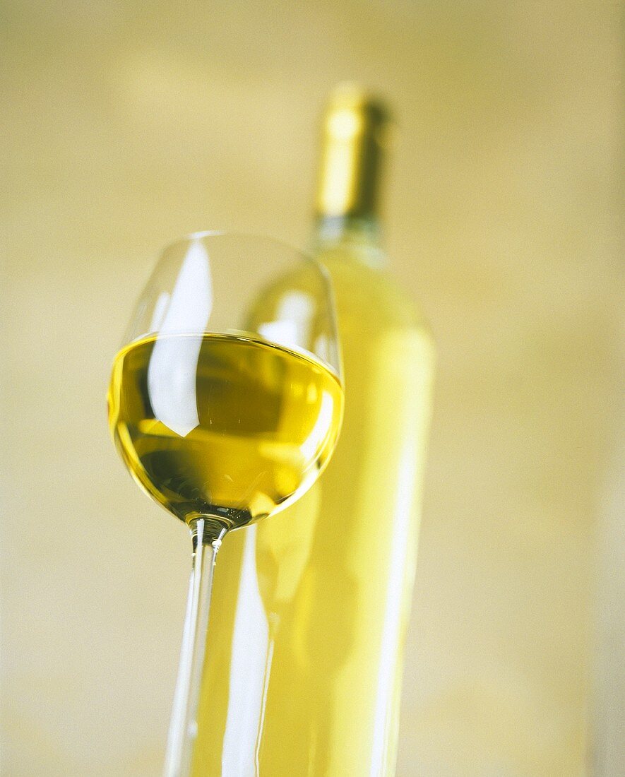 A Glass of White Wine; Wine Bottle