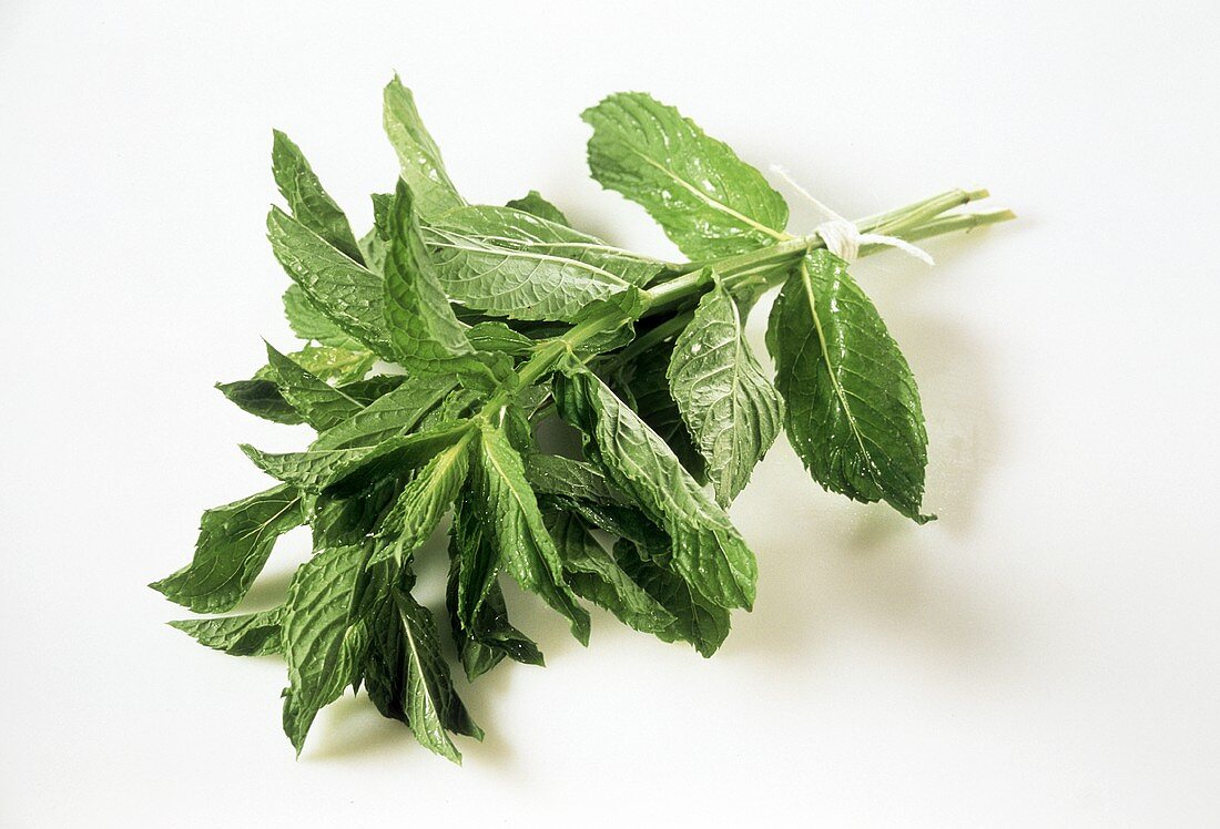 Sprigs of peppermint against white background