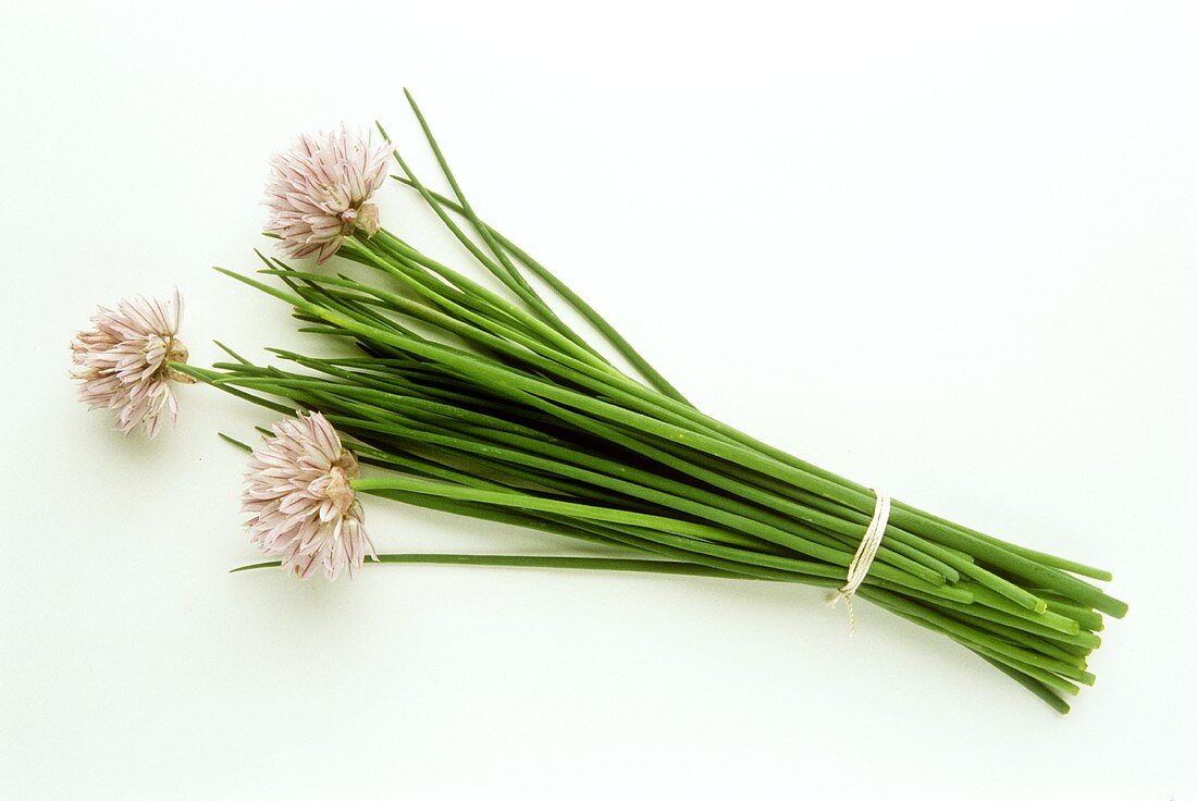 Ein Bund Schnittlauch mit Blüten vor weißem Hintergrund