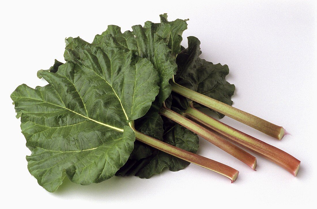 Four sticks of rhubarb with leaves