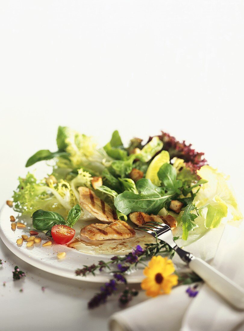 Mixed salad leaves with chicken breast