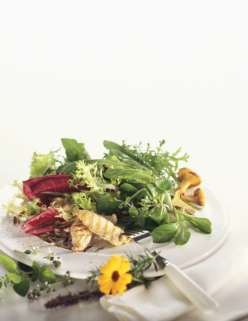 Gemischter Blattsalat mit Hähnchenbrust und Pfifferlingen