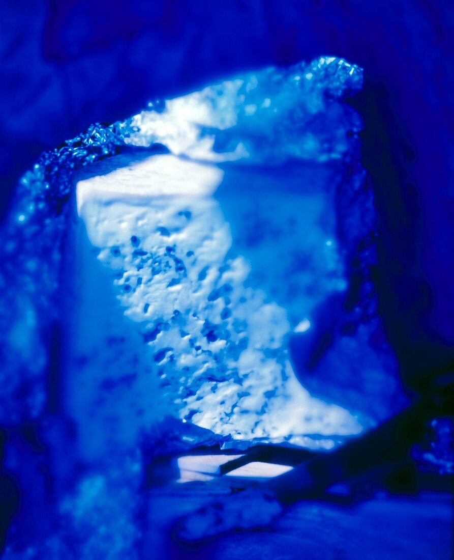 Ein Stück Fourme d'Ambert vor blauem Hintergrund