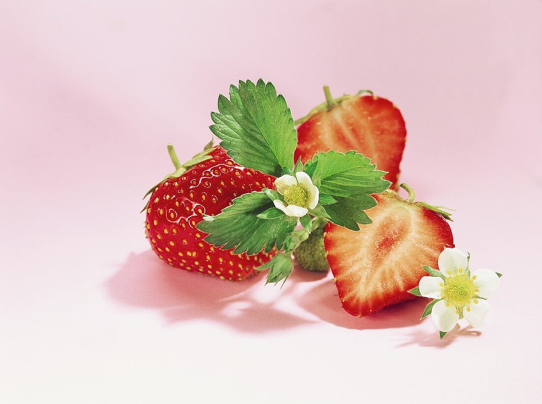 Strawberries with leaves and flowers