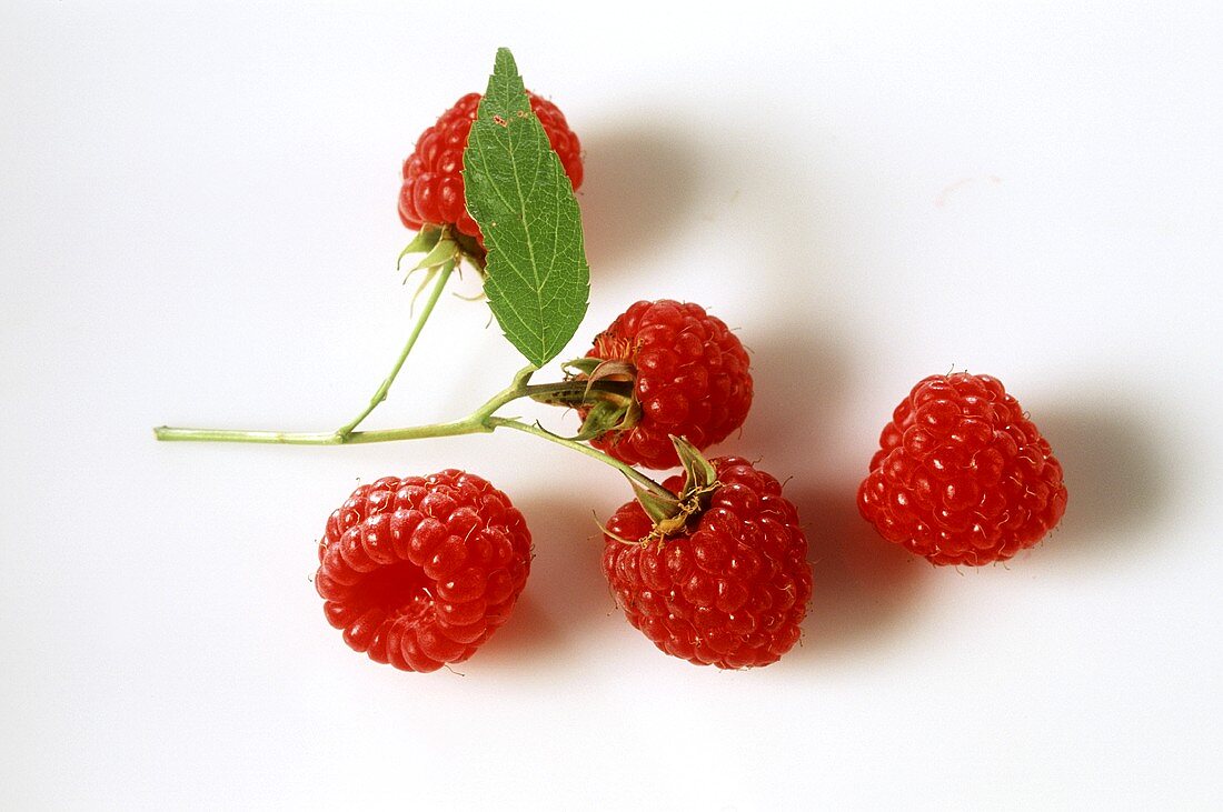 Himbeeren mit Blatt