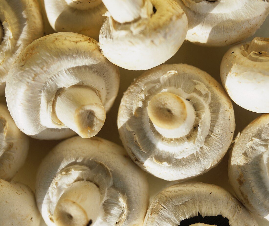 White button mushrooms