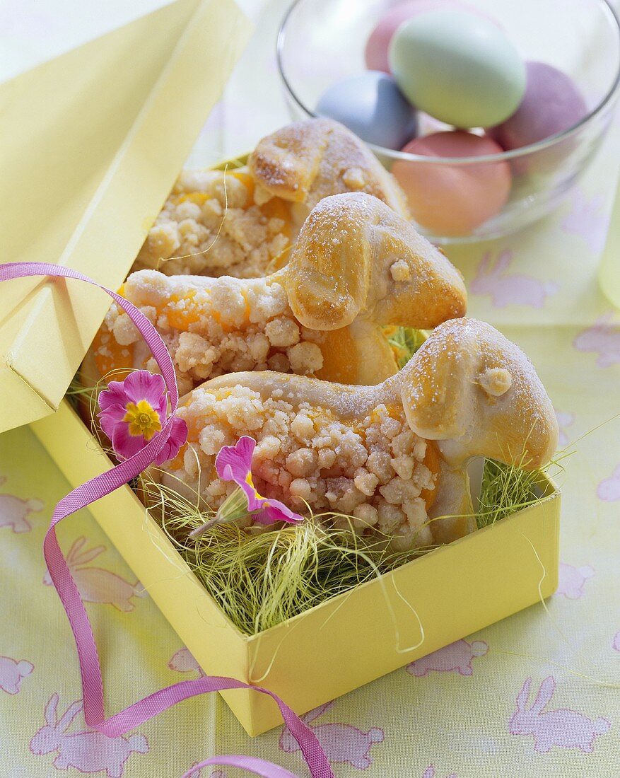 Osterlämmer aus Hefeteig in Geschenkschachtel