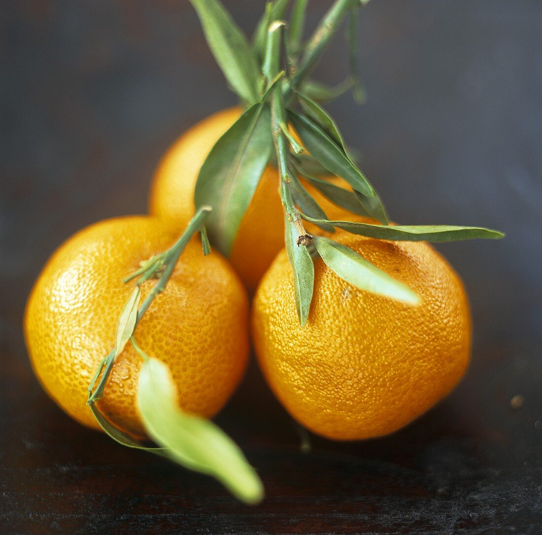 Oranges with leaves