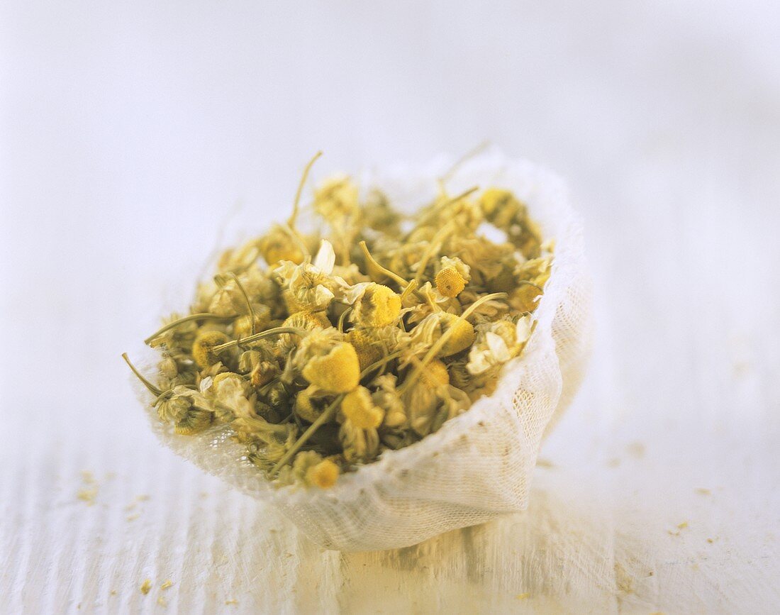 Dried camomile flowers in muslin net