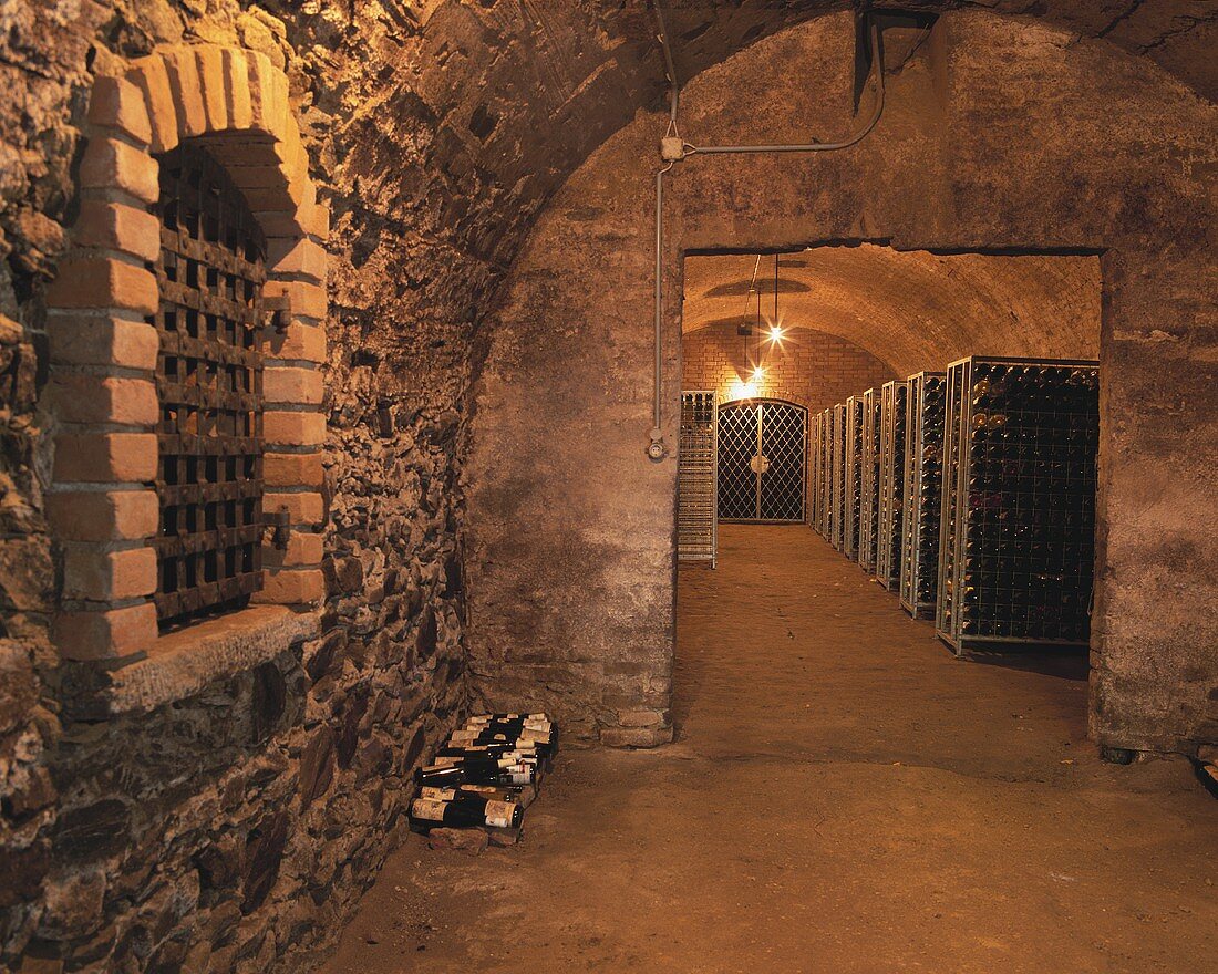 Wine cellar in Erlahof, Spitz an der Donau, Wachau, Austria
