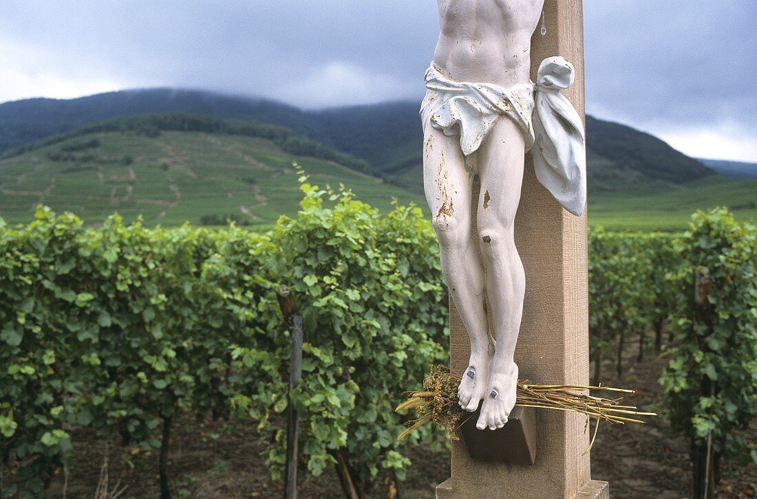 Christ on the cross in vineyard, Alsace, France