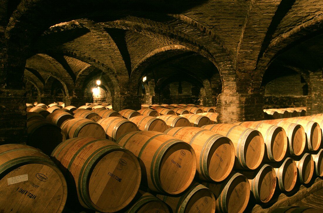 Santa Rita, old winery in Maipo Valley, Chile