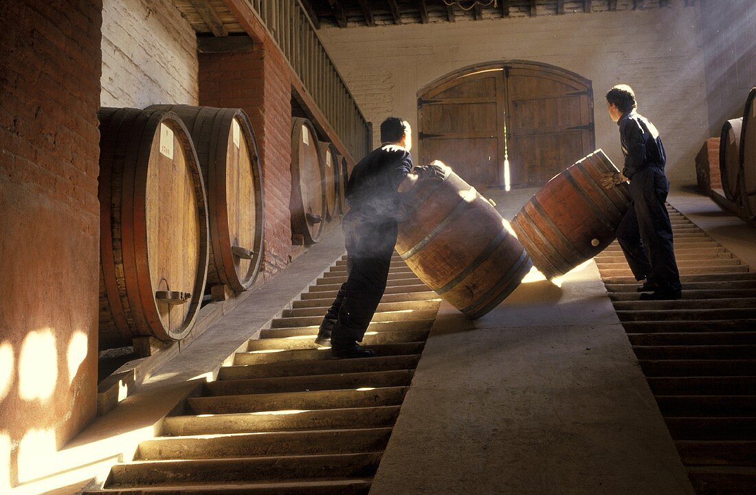Arbeiter rollen Fässer im Weinkeller, Aconcaqua Valley, Chile