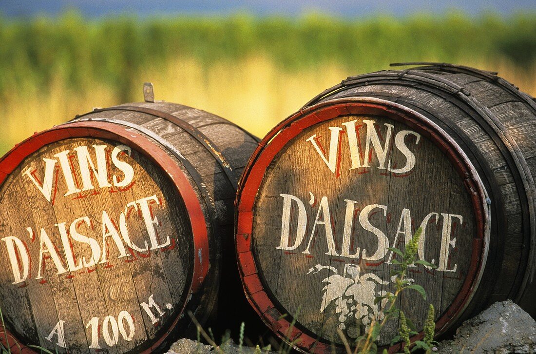 Wine barrels for decoration in front of vineyard, Alsace France