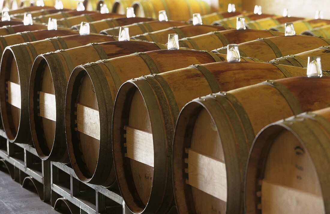 Almaviva-Wein lagert in Fässern im grossen Chai, Maipo, Chile