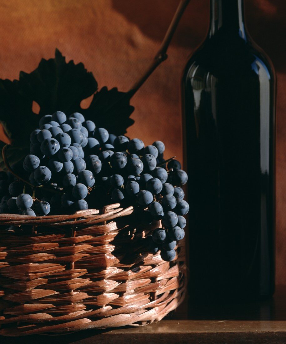 Rotweinstilleben mit Weinflasche und Weintrauben im Korb