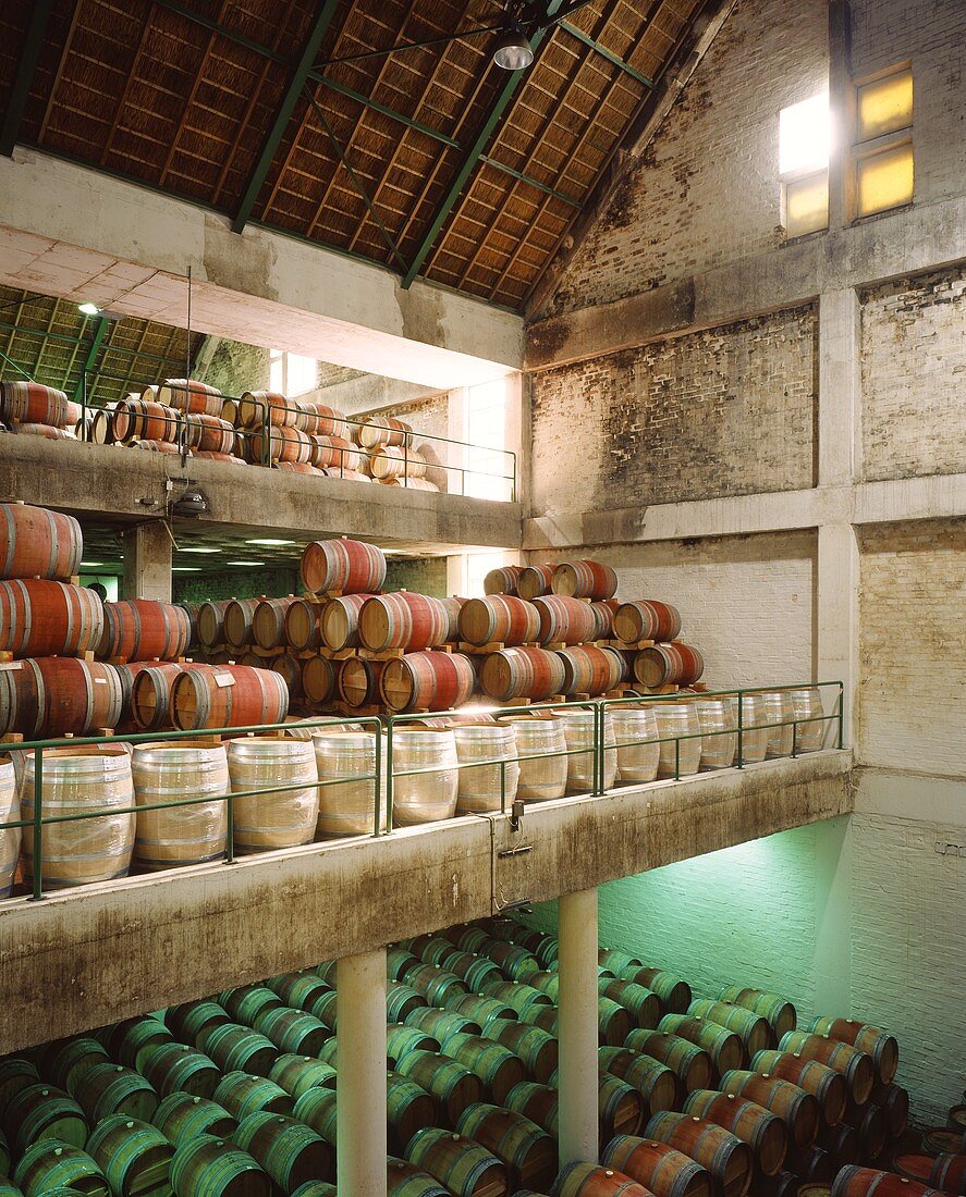 Barrique wine cellar on Buitenverwachting Estate, S. Africa
