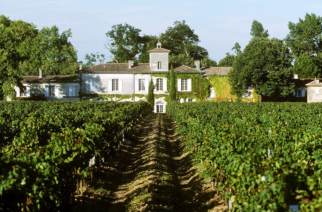 Das Weingut Château Gazin im Pomerol, Frankreich