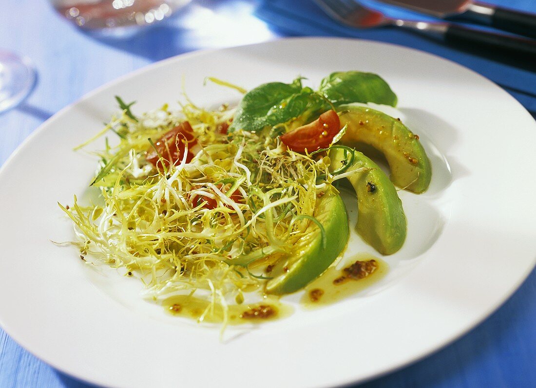 Krauser Endiviensalat mit Avocado und Sprossen