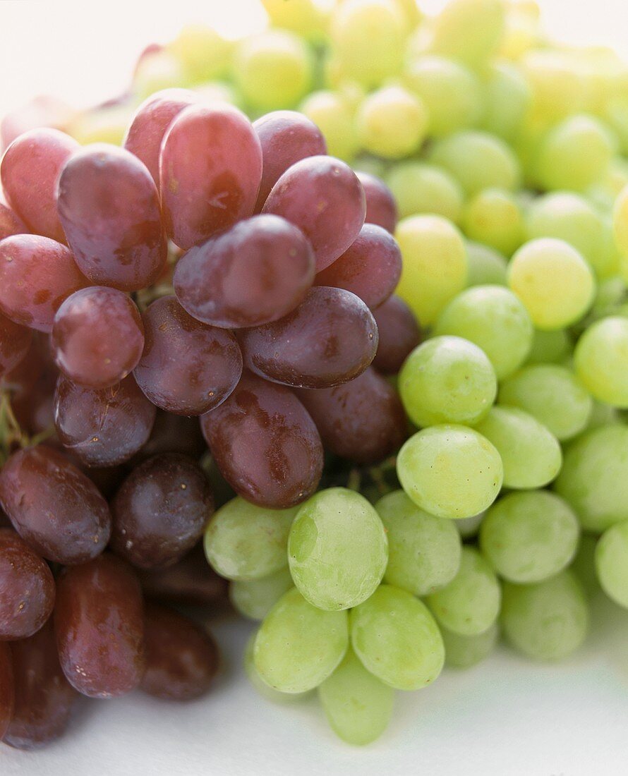 Red and Green Grapes